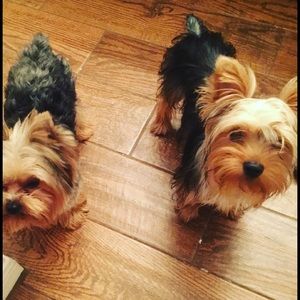 Meet your Posher, Christine